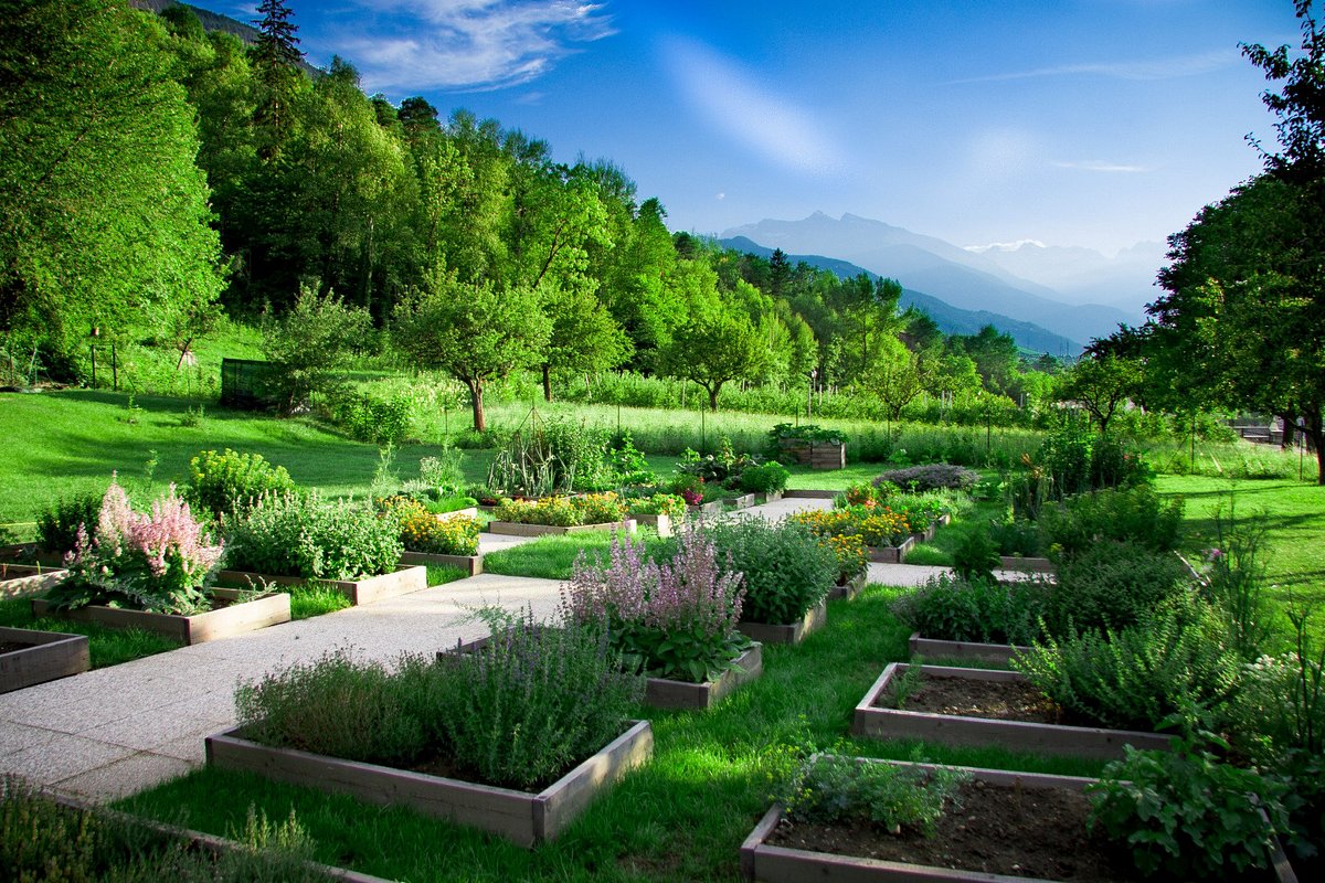 La Maison des anciens remèdes – Perché i fiori sono colorati e profumati?